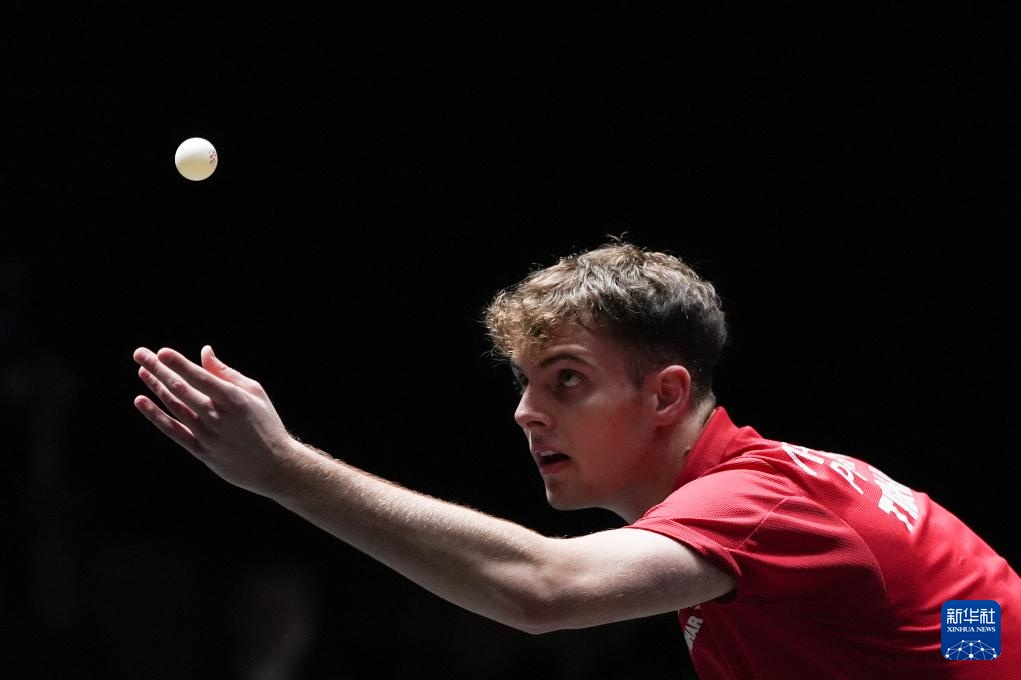 原因导致了 原因导致了